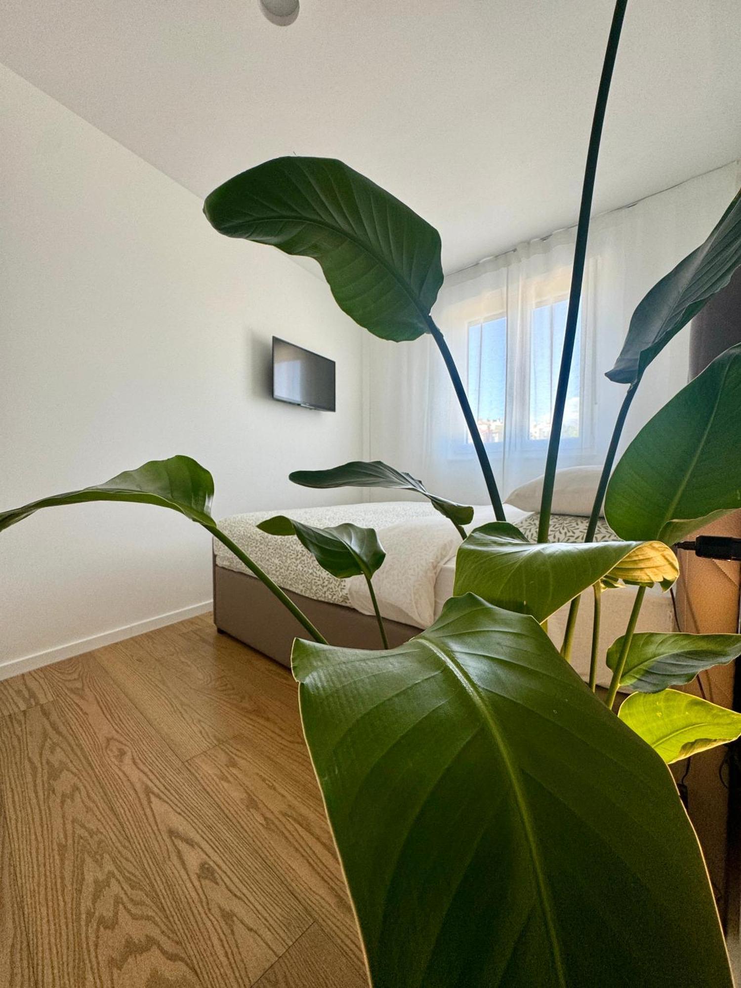 Apartment Abyss New Near The With Private Garage *